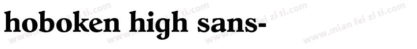 hoboken high sans字体转换